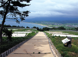 上之國勝山館跡望海