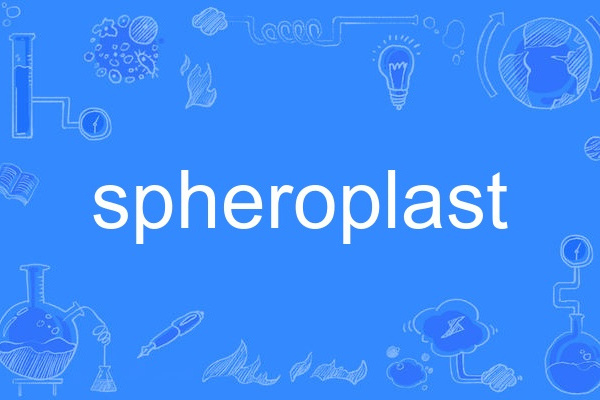 spheroplast