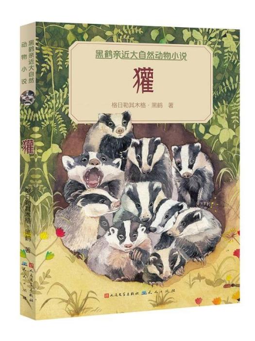 黑鶴親近大自然動物小說·獾(獾（2015年天天出版社有限責任公司出版的圖書）)