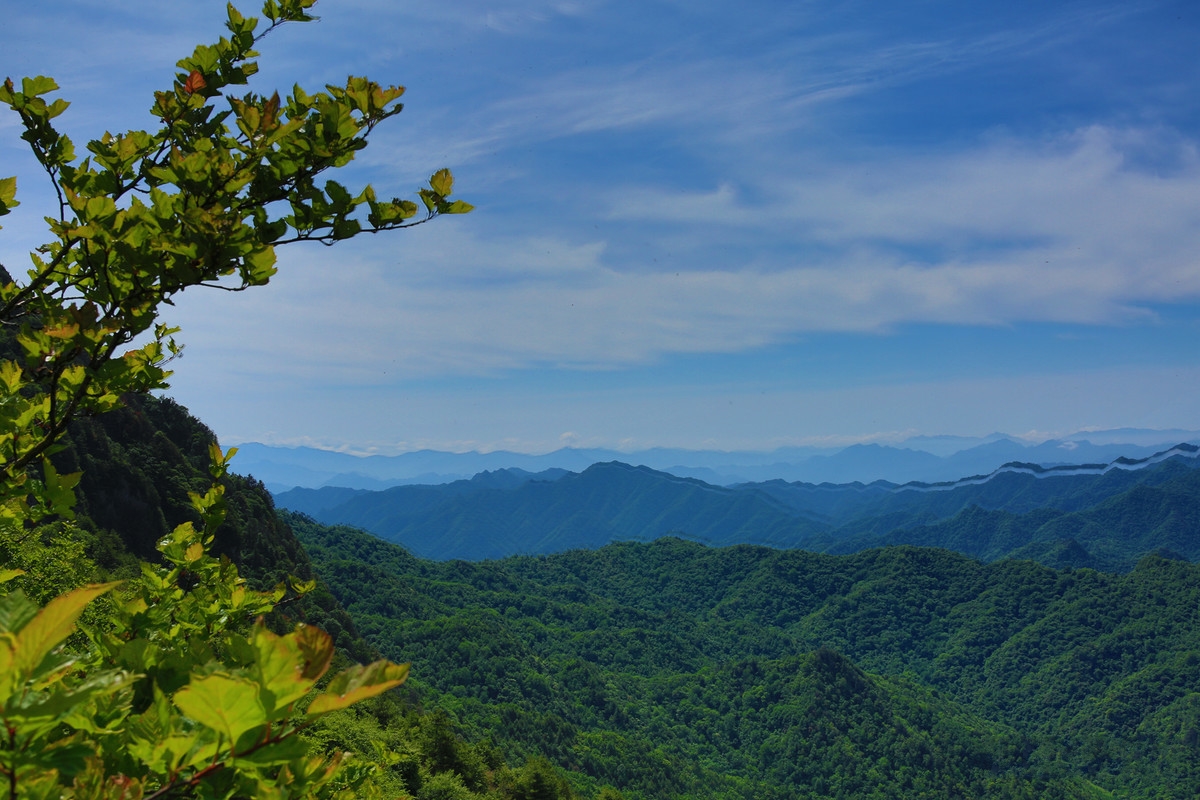 紫柏山