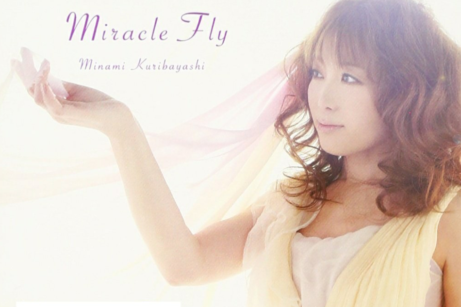 Miracle Fly