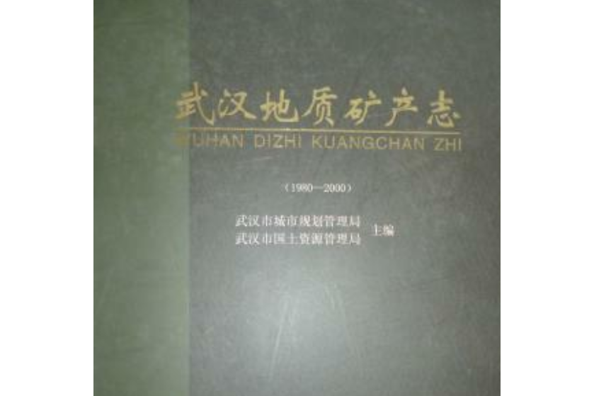 《武漢地質礦產志》(1980-2000)