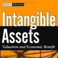 Intangible Assets