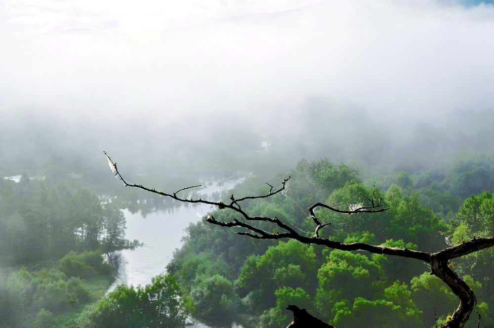 伊圖里河盤山道濕地