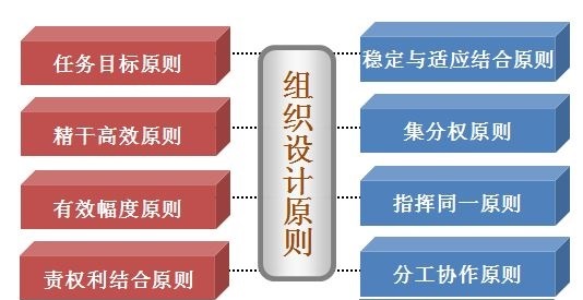 組織設計原則