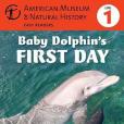 Baby Dolphin\x27s First Day