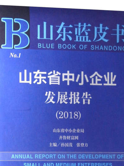 山東省中小企業發展報告(2018)