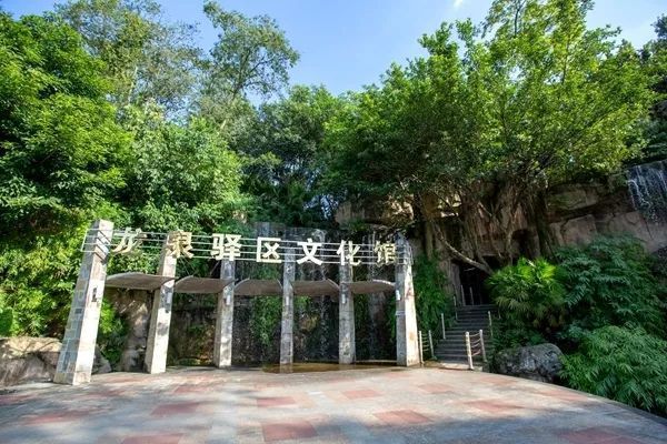 龍泉驛區文化館