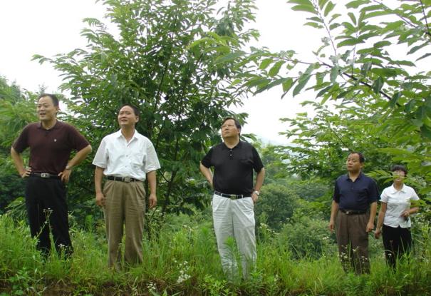 舒城縣副縣長韓鋒來春秋鄉視察工作