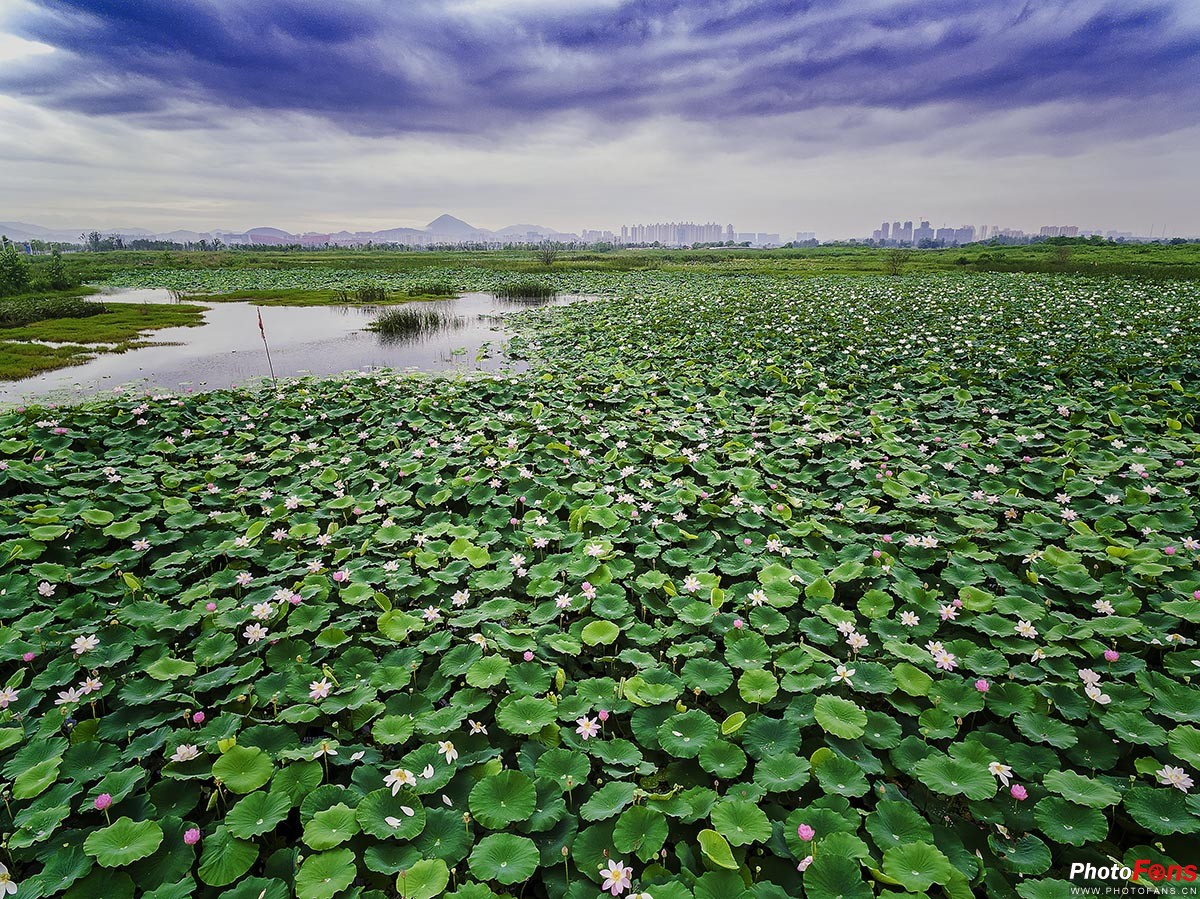 銅陵西湖城市濕地公園