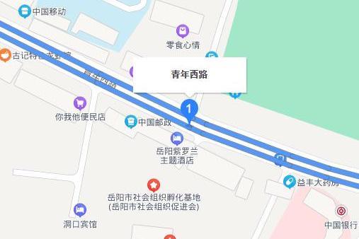 青年西路(岳陽市青年西路)