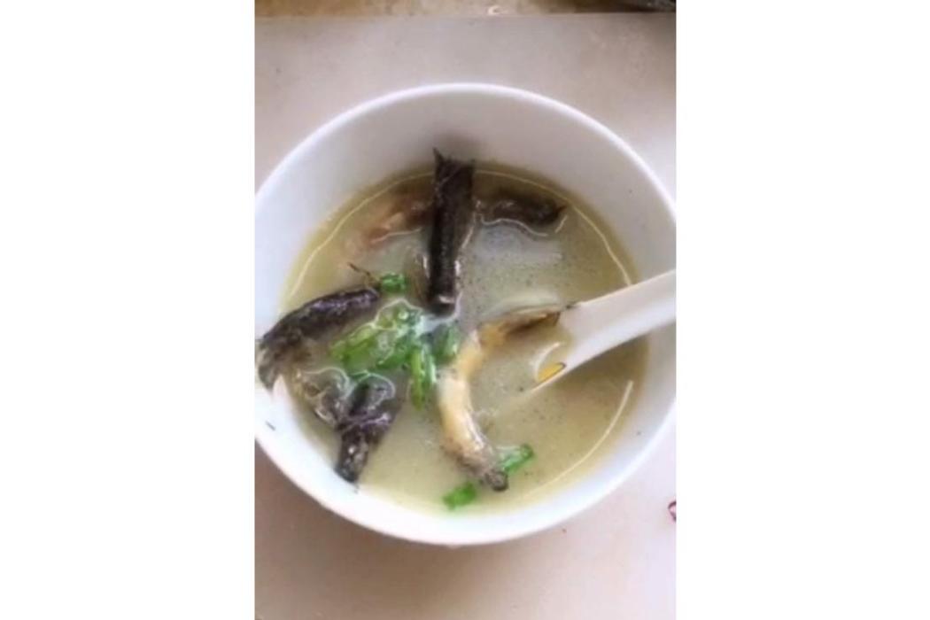 青荷鰍魚湯