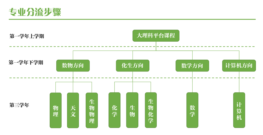 專業分流步驟圖