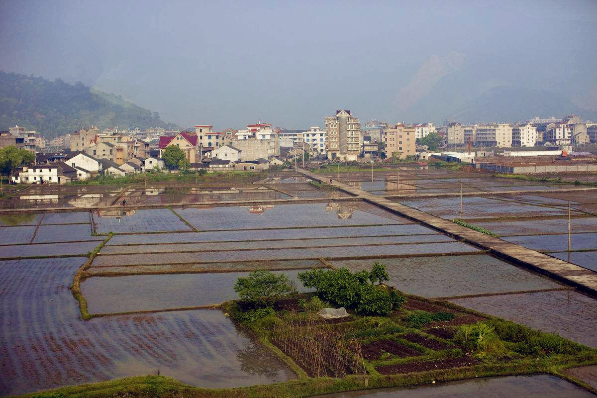 金山鄉(四川省西充縣金山鄉)