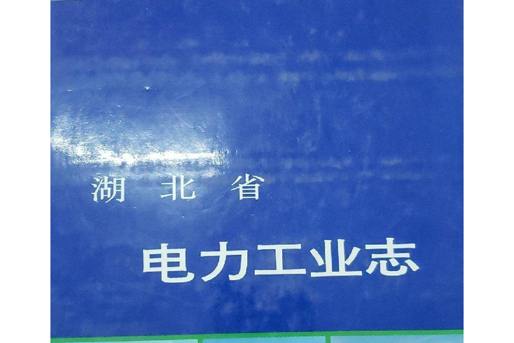 湖北省電力工業志