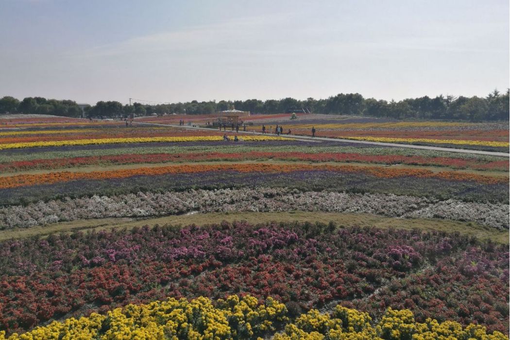 上海五厙農業休閒觀光園