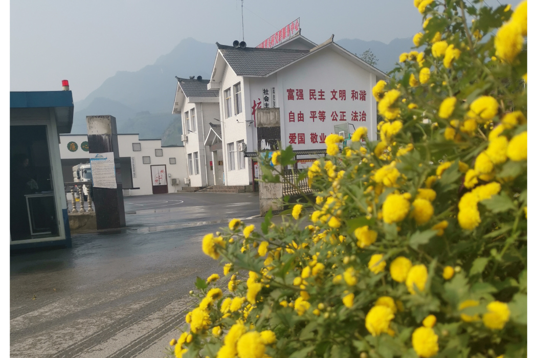 犁頭村(四川省長寧縣雙河鎮下轄村)