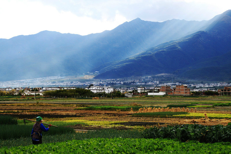 文山頂