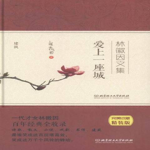 愛上一座城(2016年北京理工大學出版社出版的圖書)