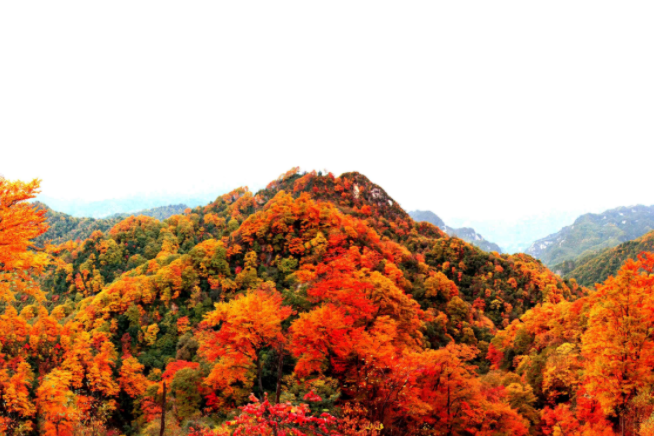 龍頭山巴山游擊隊戰鬥遺址