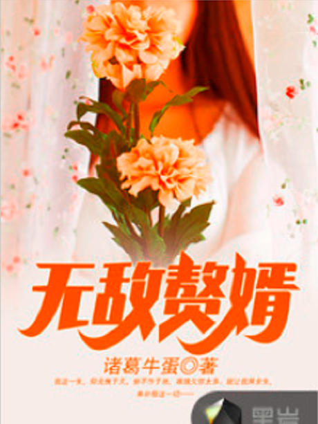 無敵贅婿(諸葛牛蛋創作的網路小說作品)