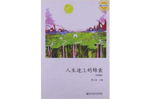 陽光少年書系：人生途上的錦囊