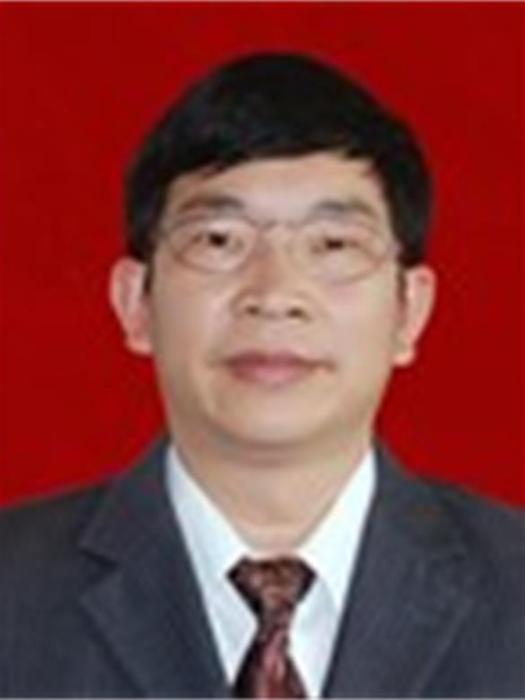 高翔(株洲市工業和信息化局黨組成員、副局長)