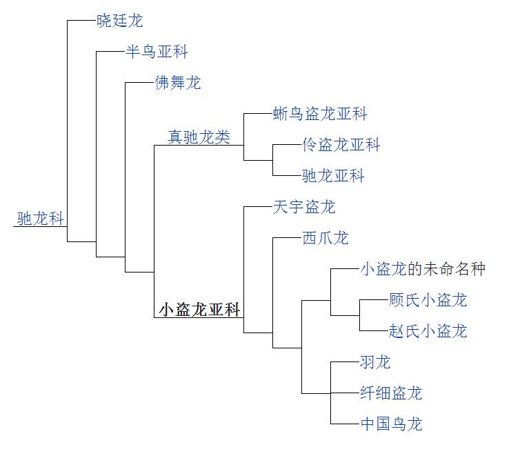 分支圖（2015）