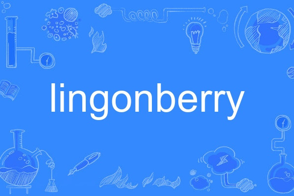 lingonberry