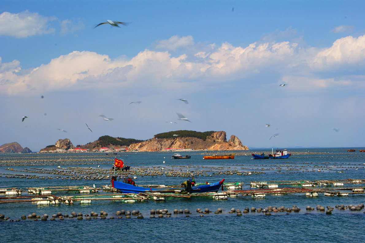 小島村