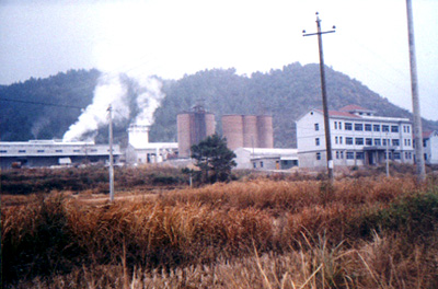 雷峰碳酸氫鈣廠