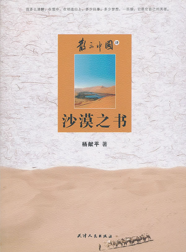 散文中國4：沙漠之書