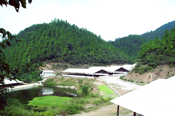 寧國太陽禽業有限公司生態農業科技示範園