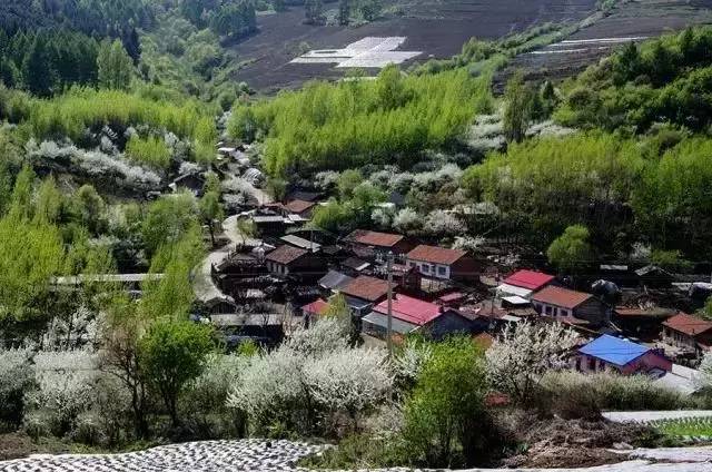 李子溝村(雲南省昆明東川區銅都街道辦事處李子溝村)