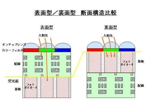 背照式與正照式的比較