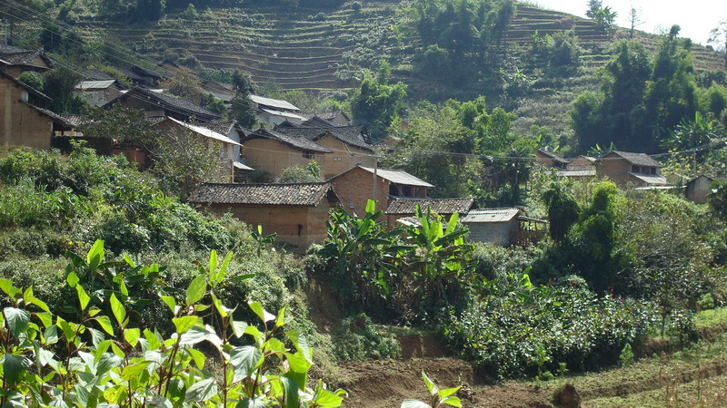 大嶺崗自然村