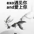 exo遇見你and愛上你