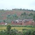 羅家莊村(雲南省大理州巍山縣廟街鎮下轄村)