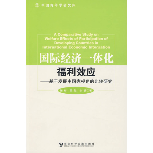 國際經濟一體化福利效應：基於開發中國家視角的比較研究