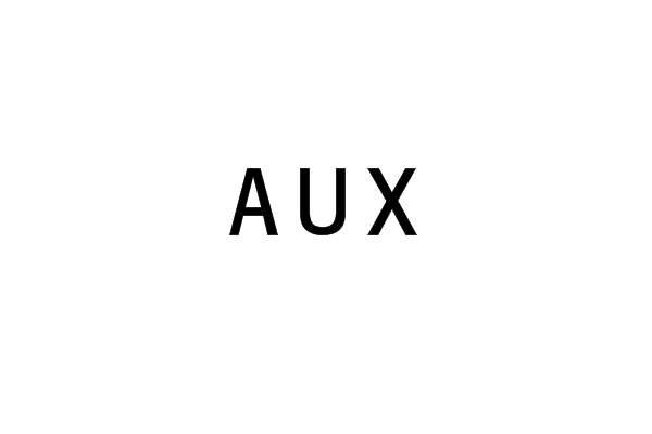 AUX(輔助/附加接口)