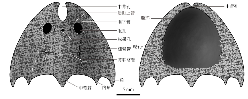 九江江夏魚