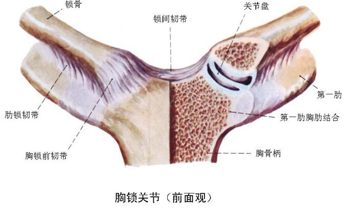 下完骨