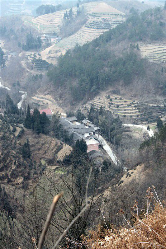 鳳堰古梯田