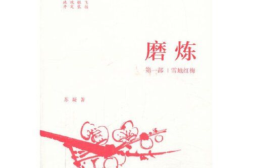 磨鍊(2013年中國青年出版社出版的圖書)