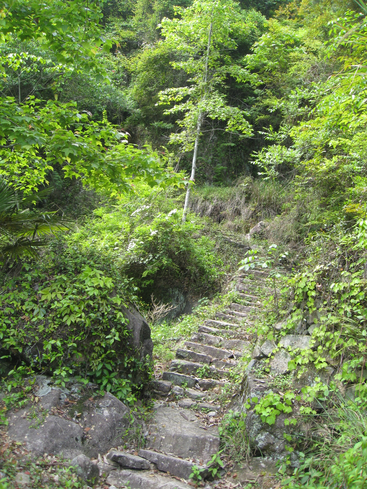 吳垟嶺古道