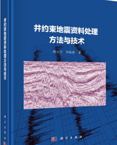 井約束地震資料處理方法與技術