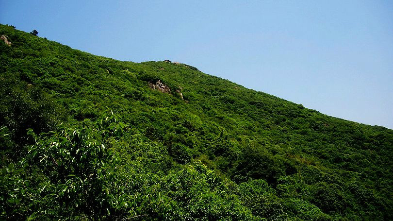 大陽山森國家林公園