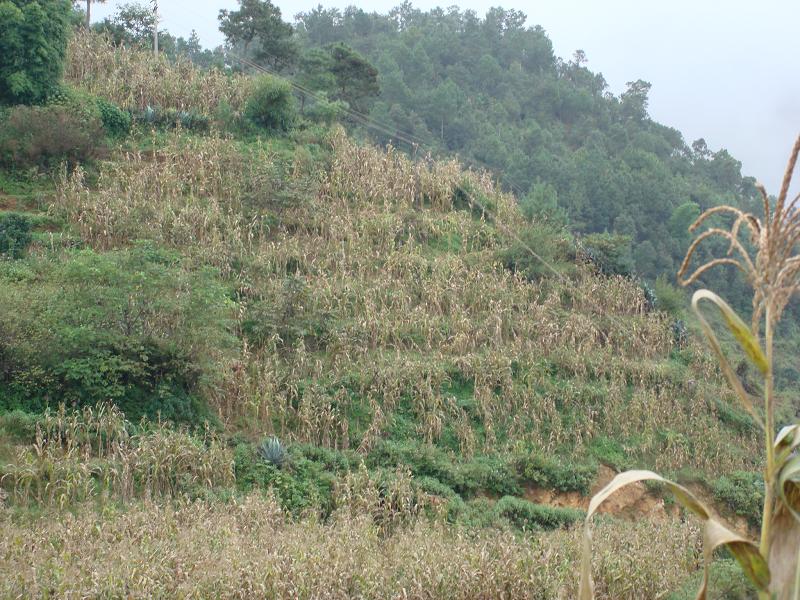 七窩鋪村山地