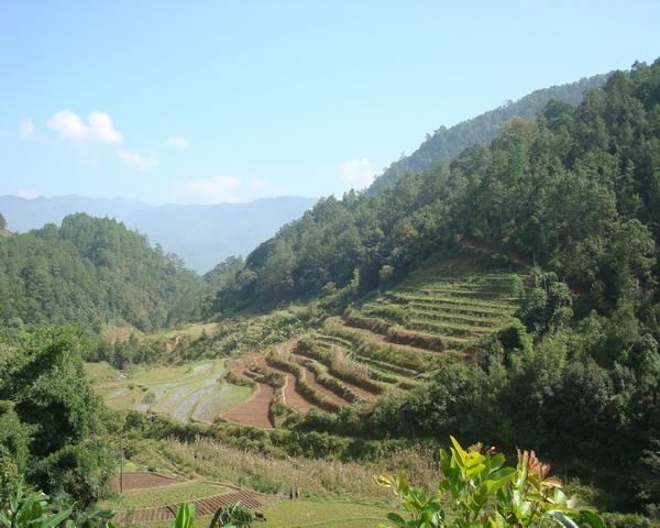 南膽山自然村