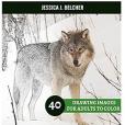 Wolves Coloring Book for Adults Relaxation: Sketches Coloring Book 40 Drawing Images + 40 Bonus Line Patterns